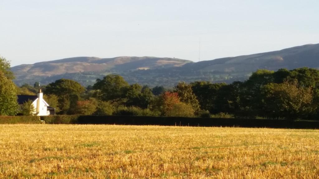 Ty Derw Country House B&B Ruthin Eksteriør bilde