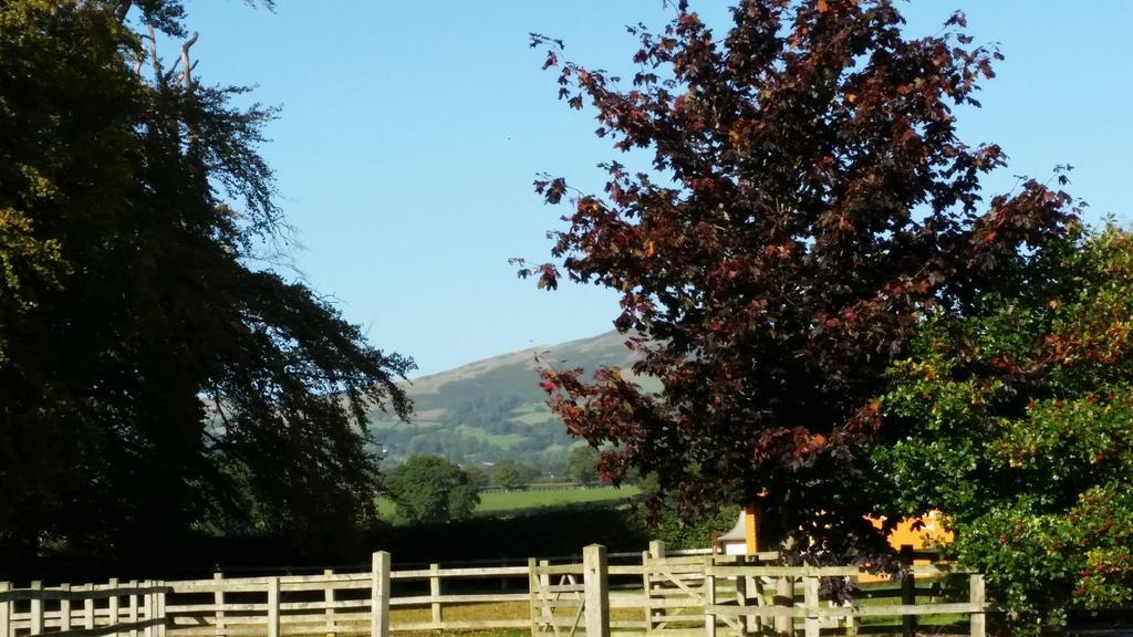 Ty Derw Country House B&B Ruthin Eksteriør bilde