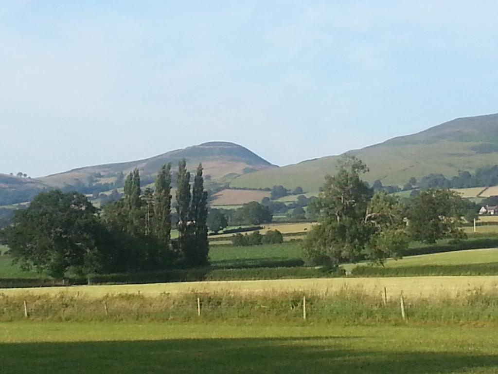 Ty Derw Country House B&B Ruthin Rom bilde