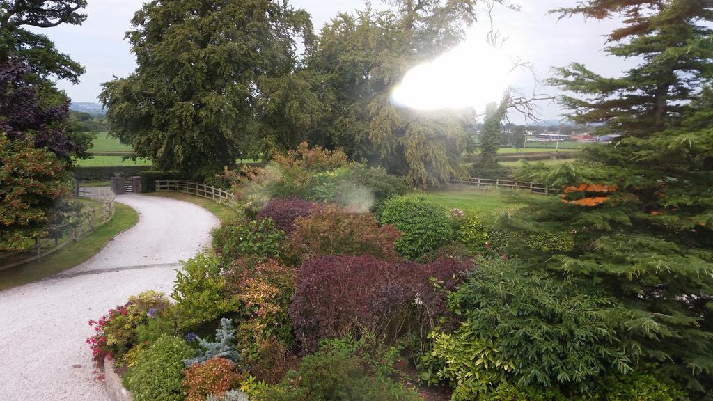 Ty Derw Country House B&B Ruthin Rom bilde